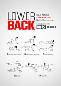 Calisthenics Lower Back Workout 6 Effective Exercises to Build a Strong Back KizWorld